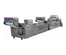 STW-306連續(xù)式洗菜機(jī)