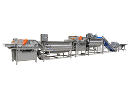 連續(xù)式洗菜機STW-306L